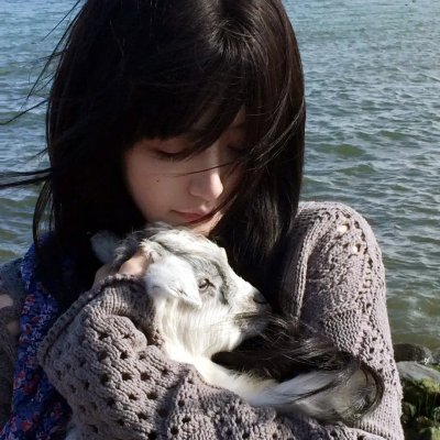 野性威尼斯海报