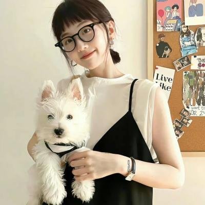 路人女主的养成方法第二季海报
