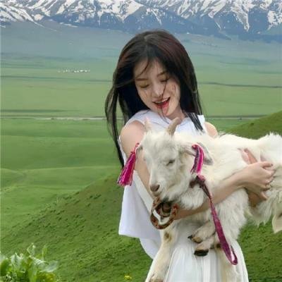 共犯海报